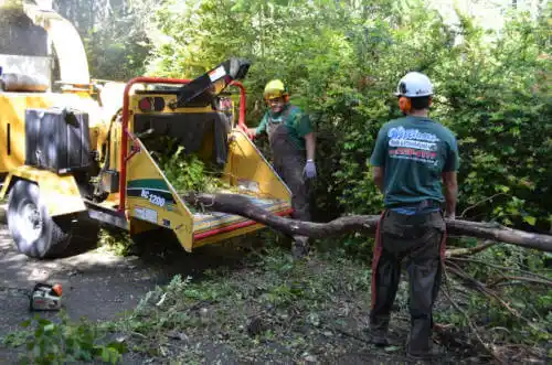 tree services Atascadero